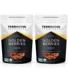 Terrasoul Superfoods Organic Golden Berries - 2 Pounds | Premium Quality Superfood - Buy Online on GoSupps.com