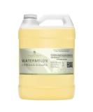 Watermelon Seed Oil - 100% Pure Cold Pressed | 1 Gallon Bulk Carrier Oil for Hair Skin Nails & Body - Natural Non-GMO Organic - Buy Online on GoSupps.com