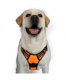 Rabbitgoo Adjustable Dog Harness for Medium & Large Dogs - No Pull Breathable with Reflex Stripes - Safe Control Guide in Orange XL (1 Pack) - Buy Online on GoSupps.com