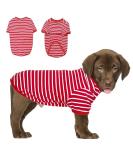 Stylish Petsmil Thin Dog Sweater for Small Dogs - Striped Stretchy Shirts for Chihuahuas & French Bulldogs (Red S) - Buy Online on GoSupps.com