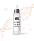 Dead Sea Collagen Serum for Face - Hydrating Skin Serum with Minerals & Vitamins for Smooth Moisturized Skin - 1.69 Fl. Oz - Buy Online on GoSupps.com