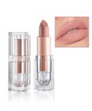 IONSGAKO Matte Nude Lipstick Velvet Lip Gloss - Fairy Pink | Long Lasting, Waterproof Lipstick for Women - Daily Lip Makeup - Buy Online on GoSupps.com