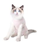 Dotoner Cat Recovery Suit - Surgical Shirt for Belly Wounds | Soft Medical Clothing for Cats After Surgery (Pink L) - Cone Alternative - Buy Online on GoSupps.com