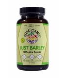Pure Planet Just Barley - 180 Veggie Caps | Organic Barley Supplement for Health - Buy Online on GoSupps.com