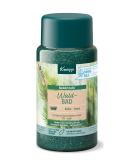 Kneipp Bath Crystals Forest Bath 600g 600.00 g (Pack of 1) - Buy Online on GoSupps.com