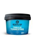 Bodylab24 Tribulus Terrestris 120 Tablets - 2000mg High Dose Plant Extract for Optimal Performance - Buy Online on GoSupps.com