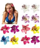 12PCS Double Chiffon Orchid Flower Hair Clips Hawaii Flower Slide Alligator Clip Wedding Party Bridal Hairclips Hair Pins Barrette Hairpieces Beach Wear Accessories(Color Random) - Buy Online on GoSupps.com