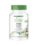 Buy Fairvital Alfalfa Tablets - 125mg Vegan Alfalfa Extract (Medicago Sativa) - 250 Tablets for Optimal Health & Wellness - Buy Online on GoSupps.com
