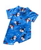 PythJooh Baby Boy Rash Guard Swimsuit with Shark Print Shorts | 12-18 Months | E - Happy Shark - Buy Online on GoSupps.com