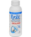 Kyolic Formula 106 Herb & E - Powerful Immune Support Supplement - Buy Online on GoSupps.com