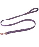 Lionet Paws Dog Leash - Premium Silk Leash for Small Medium & Large Dogs | Matching Collars in Purple for Boys & Girls - Durable & Stylish (Pack of 1) - Buy Online on GoSupps.com