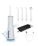 BosiBozi Rechargeable Water Flosser - 4 Modes Portable & Cordless 300ML Tank IPX7 Waterproof USB-C Charging 3 Jet Heads & Tongue Scraper - Dental Care Solutions - Buy Online on GoSupps.com