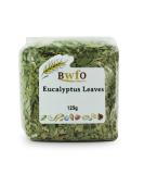 Eucalyptus Leaves 125g (BWFO) - Buy Online on GoSupps.com