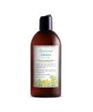 Just Nutritive Men's Gray Hair Shampoo | Sulfate-Free Brassy Tone Remover | Natural Gray Hair Treatment | 8 oz - Buy Online on GoSupps.com