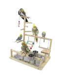 Buy Wishesmar WellensiTich Playground for Nymphensittich Parrots - Climbing Swing Feeder-Cup & Ladder - Durable Wooden Toy | 45x37x23 cm - Buy Online on GoSupps.com