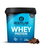 Buy Bodylab24 Whey Protein Powder - Chocolate Brownie Flavor 1kg | International Shipping Available - Buy Online on GoSupps.com