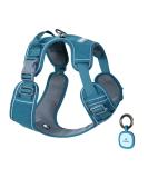 Pawaii XS Dog Harness for Small Dogs - Breathable No-Pull Chest Harness with Handle - Teal Green - Ideal for Anti-Drawing & Comfortable Fit - Buy Online on GoSupps.com