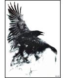 Raven Crow Black Bird Temporary Tattoo - Large Waterproof Body Art for Men, Women, and Kids | Cute Cartoon Stickers - 10 Pack - Buy Online on GoSupps.com