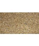 Jalpur Whole Millet Seeds (Bajri) 100g - Packed with Nutrients - Buy Online on GoSupps.com