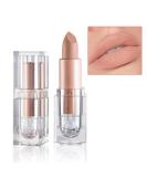 IONSGAKO Matte Nude Lipstick Velvet Lip Gloss Non-Fading Non-Sticky Cup Nude Lipstick Matte Lip Stain Long Lasting Waterproof Lipstick for Women Girls Daily Lip Makeup - White Peach 607White Peach - Buy Online on GoSupps.com