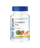 Fair & Pure Carotenoid Complex - Vegan Beta-Carotene Lutein & Lycopene Capsules - No Magnesium Stearate - 180 Count - Buy Online on GoSupps.com