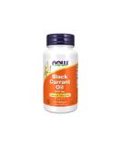 Buy Now Foods Black Currant Oil 500mg - 100 Softgels | Premium Health Supplement - Buy Online on GoSupps.com
