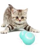 Speedy Panther Quiet Smart Cat Ball Toy Interactive Cat Toys for Indoor Cats Adult Automatic 360 Rotating Kitten Toys with LED Stimulate Hunting Instinct - USB Rechargeable - Buy Online on GoSupps.com