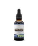 Angelica Tincture Alcohol-Free Liquid Extract - 2 FL OZ (Pack of 1) - Buy Online on GoSupps.com