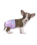 Flying Paws Disposable Diapers for Dogs & Cats | Adjustable Sizes (XXS-10 Pieces) - Best Quality & International Shipping - Buy Online on GoSupps.com