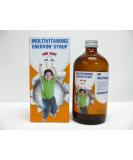 Buy 2 Enervon Syrup Multivitamins (2 x 120ml) | Premium Health Supplement | Fast International Shipping - Buy Online on GoSupps.com