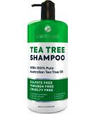Tea Tree Oil Shampoo - Sulfate & Paraben Free Collagen & Keratin Enriched - Anti-Dandruff Ideal for Oily Hair Salon Quality Treatment for Men & Women - Buy Online on GoSupps.com