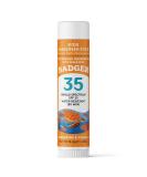 Badger Company Kids Natural Mineral Sunscreen Face Stick SPF 35 Tangerine & Vanilla 0.65 oz (18.4 g) - Buy Online on GoSupps.com