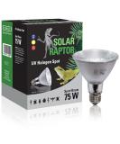SOLAR RAPTOR UV halogen spot 75 watts reptile heat lamp terrarium lamp with daylight spectrum  - Buy Online on GoSupps.com