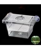 Acrylic Aquarium Breeder Box | Fish Tank Separator for Breeding Baby Fish | Fry Tank for Shrimp, Guppy, Clownfish | Aggressive Fish Hatchery - Buy Online on GoSupps.com