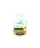 Natural Cat Dental Care Powder | No Artificial Additives | Effective Tartar & Plaque Removal - 35g - Buy Online on GoSupps.com