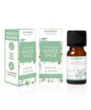 Californian White Sage Essential Oil Diffuser Blend - Aromafume | 3x10ml Aromatherapy Oil for Cleansing & Protection | Smokeless Smudging | Ethically Sourced Sage EO - Buy Online on GoSupps.com