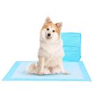 Super Absorbent Waterproof Dog Training Pads - 100 Count Extra Small 28 x 30 Hausbreaking Pet Pads - Ideal for Puppies - Blue XL 71x76cm - Buy Online on GoSupps.com