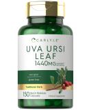 Carlyle Uva Ursi Capsules 1440mg - Herbal Leaf Extract Non-GMO Gluten Free - 150 Count for Optimal Health - Buy Online on GoSupps.com