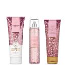Bath and Body Works Champagne Toast 3 pc. Gift Set | Moisturizing Body Wash, Fragrance Mist & Shea Body Cream - 2019 Edition - Buy Online on GoSupps.com