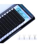 Buy Volume Eyelashes 0.07mm DD Curl 10mm - Easy Fan Lashes & Eyelash Extensions | International Shipping - Buy Online on GoSupps.com