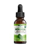 Moringa Leaf Extract Drops - Moringa Oleifera Leaf Extract | Pairs Well with Pura Vida Moringa Capsules and Moringa Powder. 2oz - Buy Online on GoSupps.com