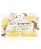 Nesti Dante il frutteto energizing soap - citron and bergamot  8.8oz  8.8 Ounce - Buy Online on GoSupps.com