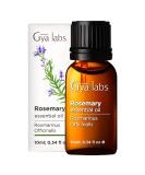 Gya Labs Pure Rosemary Oil for Hair Growth & Dry Scalp (0.34 fl oz) - 100% Therapeutic Grade Undiluted Rosemary Essential Oils for Hair Growth, Hair Loss, Skin & Diffuser Rosemary 0.34 Fl Oz (Pack of 1) - Buy Online on GoSupps.com