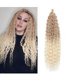 Deep Twist Crochet Hair - 22 Inch Synthetic Ombre Kinky Curl Braided Extensions (6 Packs) | Waterwell Twist Hairstyle - Buy Online on GoSupps.com