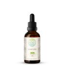 Uva-Ursi Alcohol-Free Herbal Extract Tincture - 2 fl oz Concentrated Liquid Drops for Natural Wellness - Buy Online on GoSupps.com