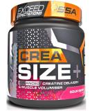 SSA Creatine Monohydrate Powder with D-Ribose for Muscle Gain & Recovery | Pure Micronized Creatine | Sour Berry 1.2lb - Boost Performance & Volumization - Buy Online on GoSupps.com