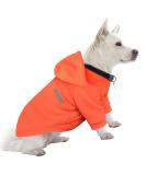 Shop Hualisiji XL Orange Dog Hoodie - Warm & Lightweight Fleece Sweater for Chihuahuas | Soft Easy to Wear - Buy Online on GoSupps.com