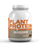 Creamy Chocolate Plant Protein - 22g Pea Protein Gluten Free Non-GMO - 20 Servings for Muscle Gain - Low Sugar - Buy Online on GoSupps.com