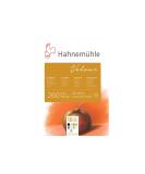 Hahnemuhle Pastel 10 Color Velour Pad 11.7x15.6 Inches 260gsm 10 Sheets - Buy Online on GoSupps.com
