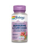 Solaray Berberine & Curcumin Root Extracts - 60 Vegan Capsules for Health Support - Buy Online on GoSupps.com